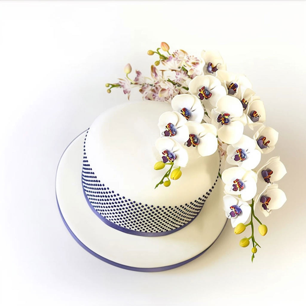 FMM Press Ice - POLKA 2