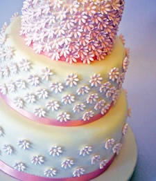 FMM Press Ice - POLKA 5